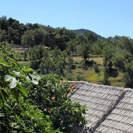 House With A Parking Space Gornji - Tomasi, Makarska - 6818